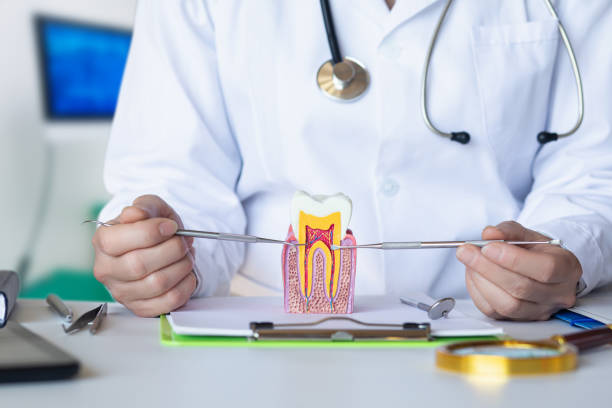 Best Emergency Tooth Extraction in Splendora, TX